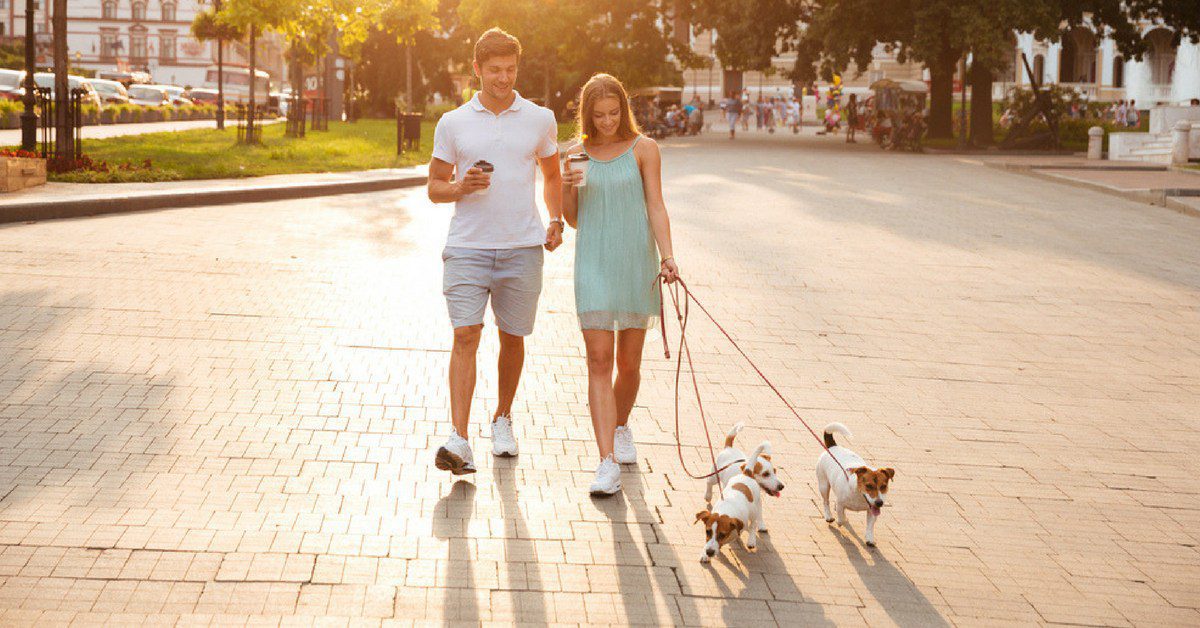 Home Improvement Loans >> Dos and don’ts for housing societies for pets and stray ... Home Improvement Loans >> Dos and don’ts for housing societies for pets and stray ...