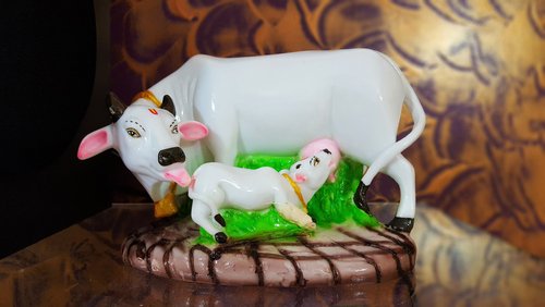 cow-vastu-know-the-right-place-to-keep-kamdhenu-statue-at-home-office