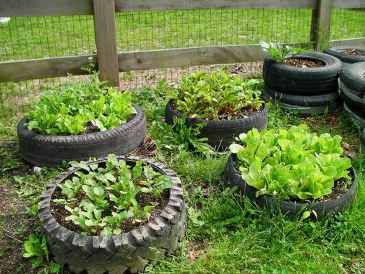 List of top 10 tyre garden ideas