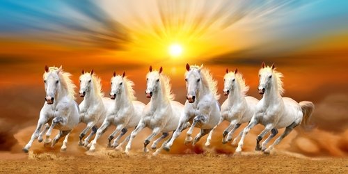 White Seven Horses Running Painting Wallpaper – Home Decoram
