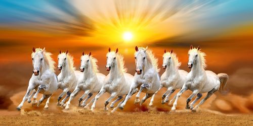 Seven Horses, sun, 7, running, seven, white horses, horses, HD wallpaper |  Peakpx