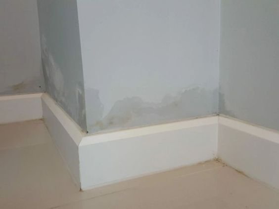 Damp Proof Course: Applications, Types, Benefits 4