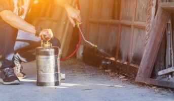 Anti Termite Treatment: Everything You Need to Know