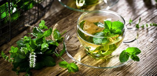 What is mint and what are its numerous benefits?