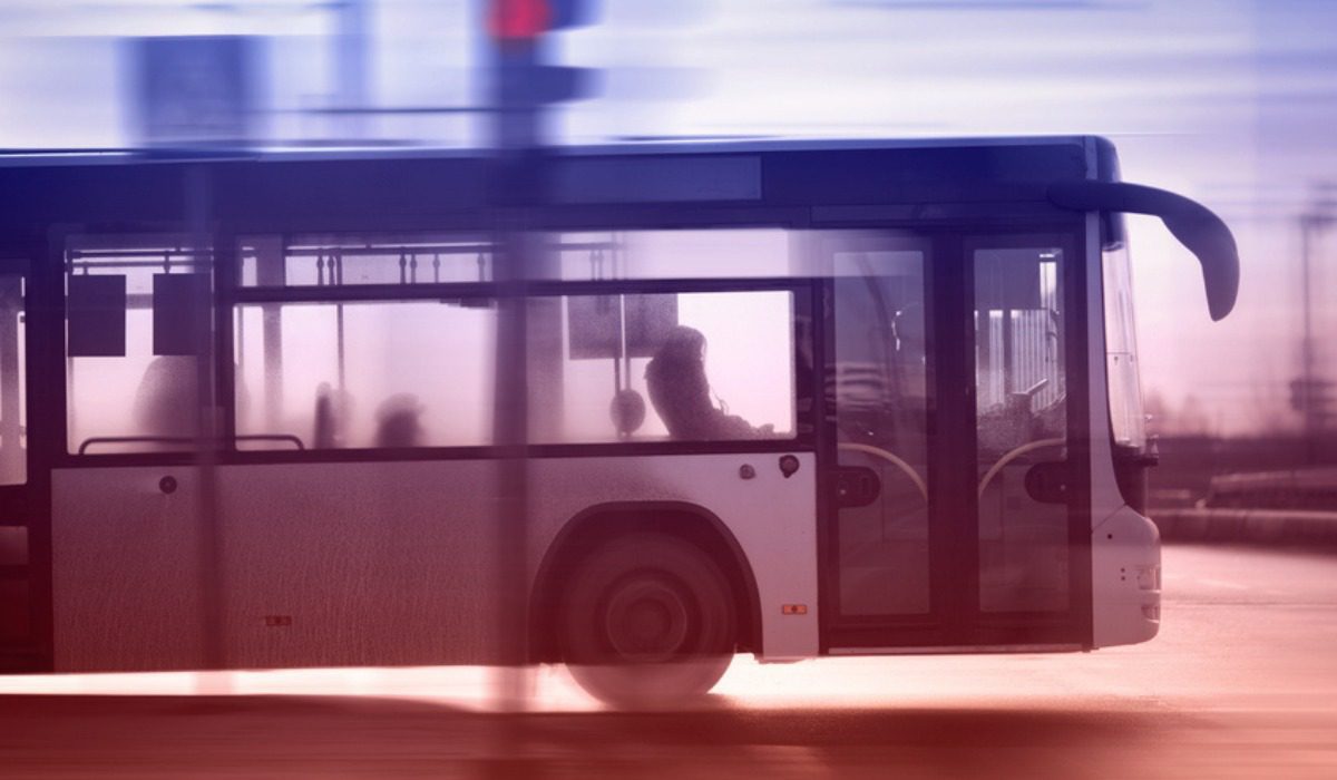 781-bus-route-information-schedule-timings-and-fare