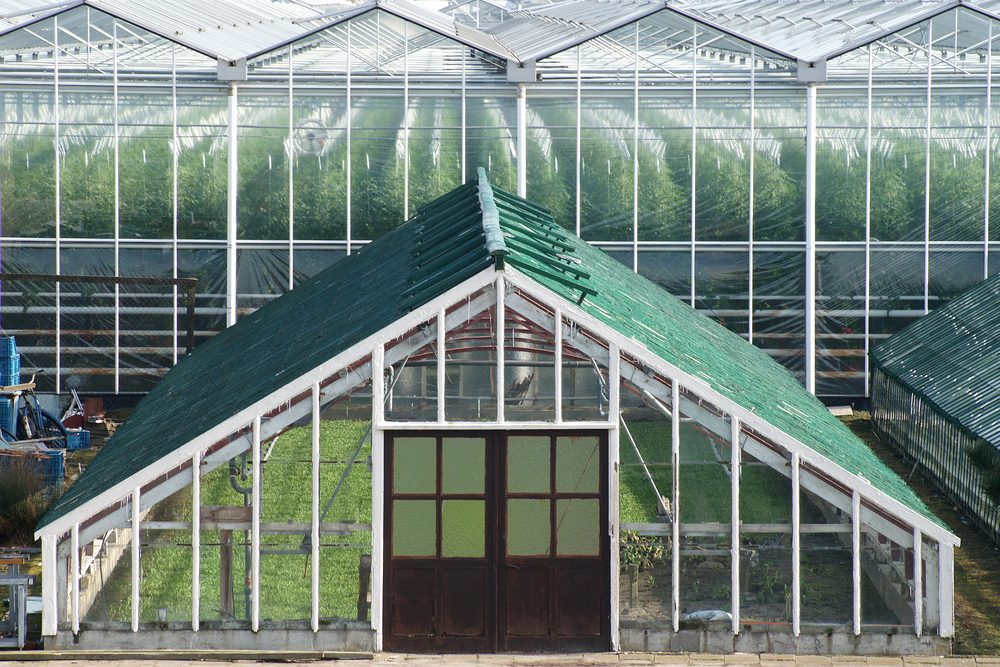 Greenhouse Construction