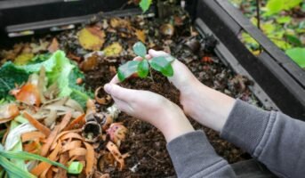 All about composting