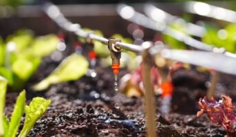How to install a drip irrigation system?