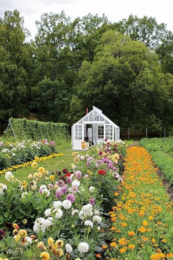 Different types of home gardens 