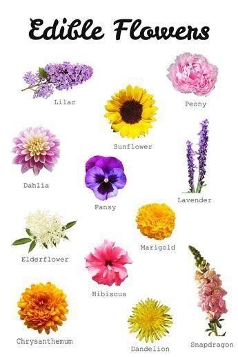 Health Benefits of Edible Flowers and Leaves
