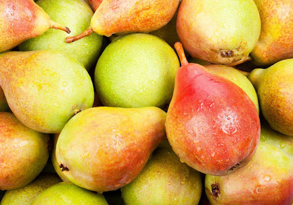 Comice Pears Information and Facts