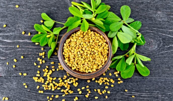 Fenugreek Facts Benefits Uses Grow And Care Tips