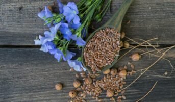 Flaxseed: Health benefits, nutrition and other interesting facts