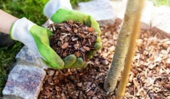 Mulching: Techniques and benefits for garden health