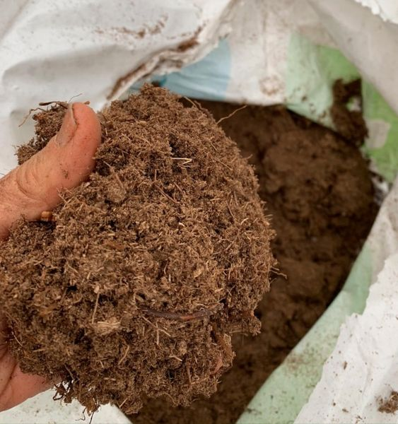 What is peat and what is its importance in gardening?