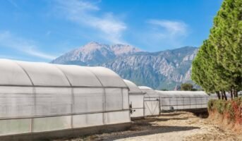 What is polyhouse farming? How does it differ from greenhouse farming?