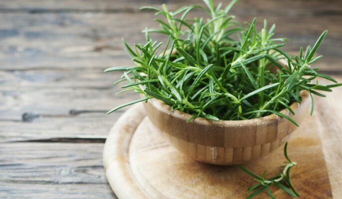 Add beauty to your garden with Rosemary