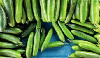 Summer vegetables: Which vegetables to grow in summer in India?