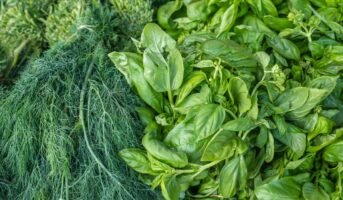 Green leafy vegetables: Nutrition and health benefits