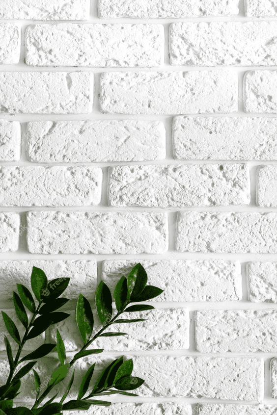 Types of Wallpaper Cost, Materials, Designs, Pros and Cons