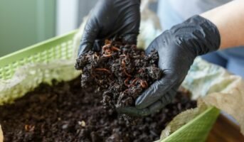 What is vermicomposting? What are its benefits?