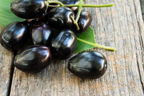 What makes Jamun the must-have tree for your garden?