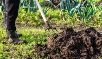 Difference Between Fertilizer And Manure with Types