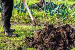 Fertiliser For Plants Types Benefits Usage Tips To Choose