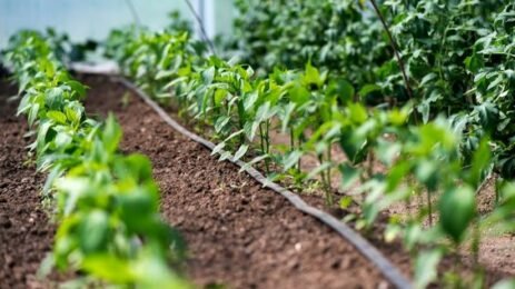 How to install a drip irrigation system?