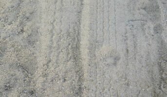 Fineness of Cement: Understanding its Importance