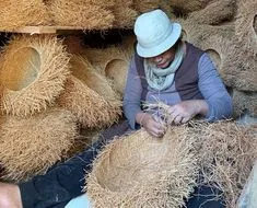 Vetiver: Know facts, benefits, grow and care tips