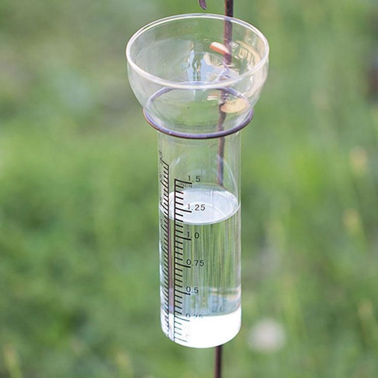  How to measure rainfall: Best ways to measure rainfall 1