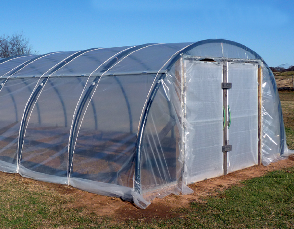 Polyhouse farming: The better greenhouse farming method? 