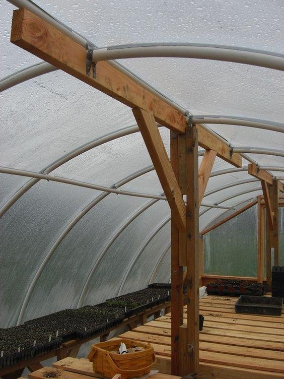 Polyhouse farming: The better greenhouse farming method? 3