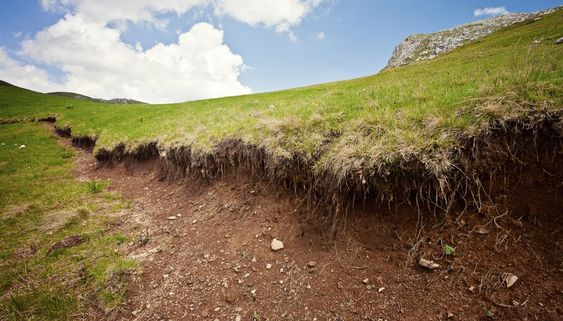 Soil erosion: Meaning, causes, impact, and prevention 3