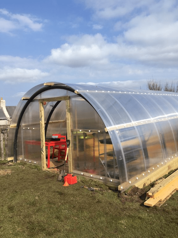 Polyhouse farming: The better greenhouse farming method? 2