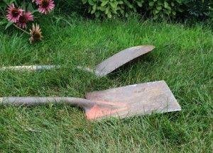 Spade tool: Different ways to use spade in your garden 1