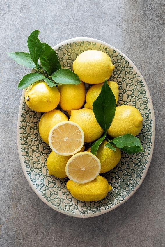 Citrinae: All about the citrus family and its newest addition 4