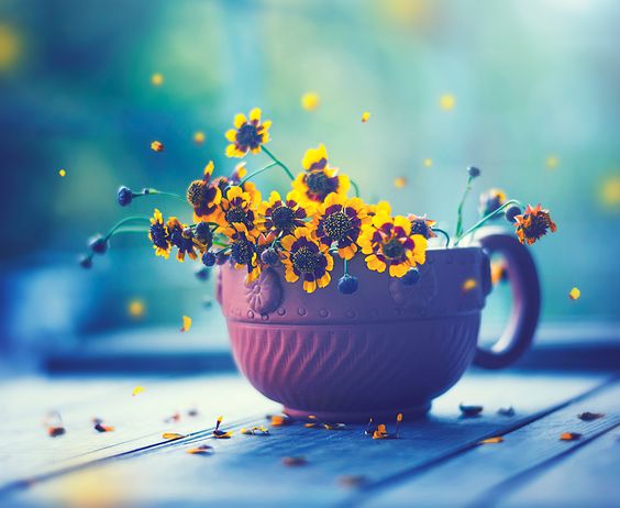 photography-ideas-at-home-for-beginners-2023