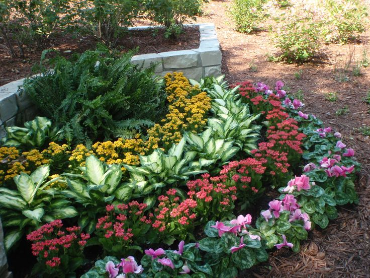 Flower bed meaning deals