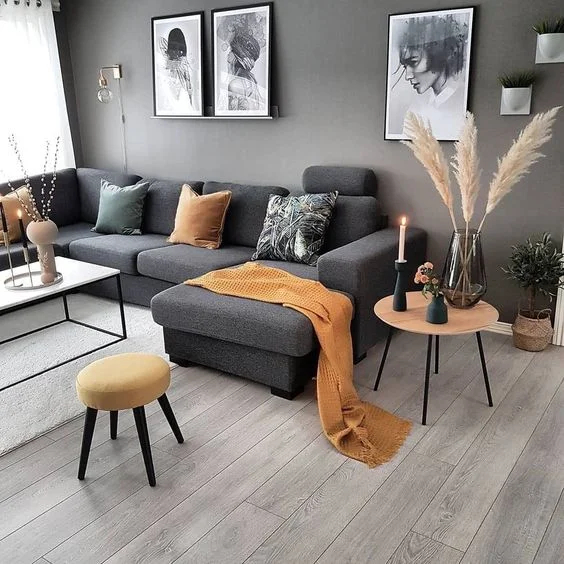 Grey living Room Ideas: A dash of decor in masculine colours