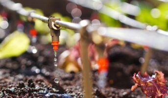 Know about the different types of Irrigation