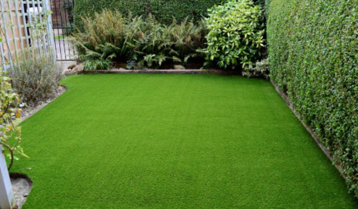 Lawn Grass Facts, Types, Maintenance, and Benefits