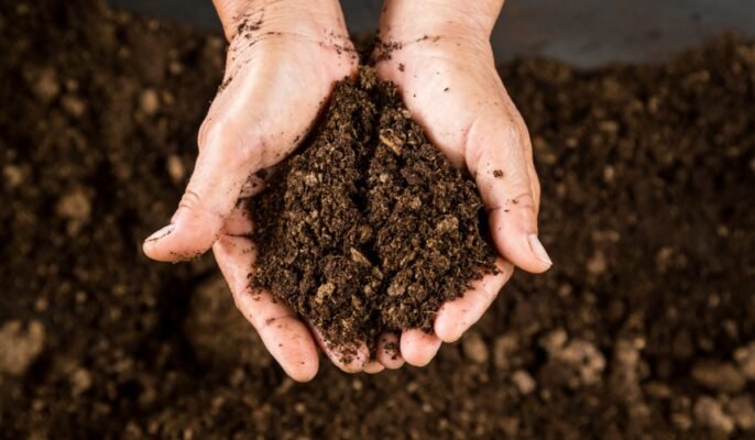 What is peat and what is its importance in gardening?