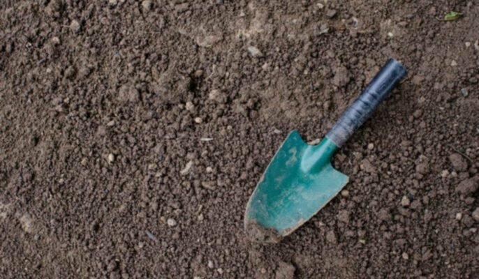 Spade tool: Different ways to use spade in your garden