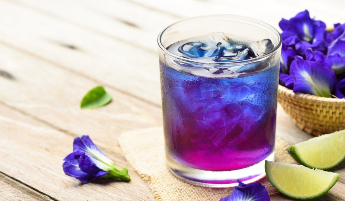 Butterfly Pea: Facts, Benefits, Uses and Care Tips In 2023