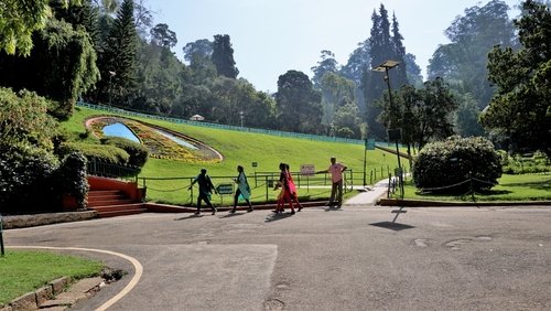 Government Botanical Gardens, Ooty: Timings, entry fee, and nearby attractions