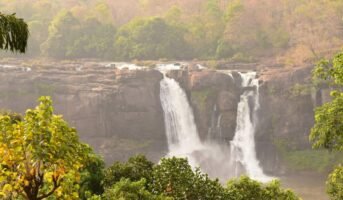 The best Athirapally resorts for your holidays