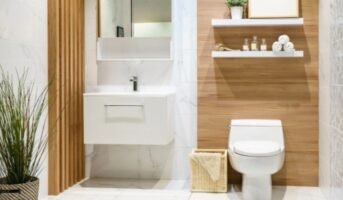 Home toilet design ideas for contemporary homes