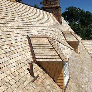 Ceiling Tiles: Different Types Of Tiles With Images 